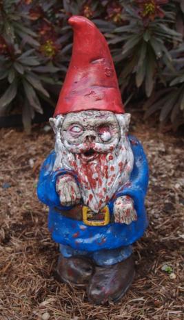 Zombie Garden Gnome, "Walking Dead" (5-6 WEEKS Before delivery)